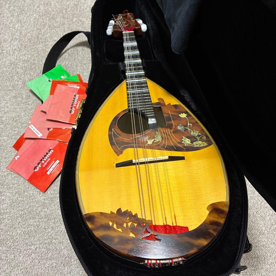 Raffaele Calace & Figlio Mandolin with Case